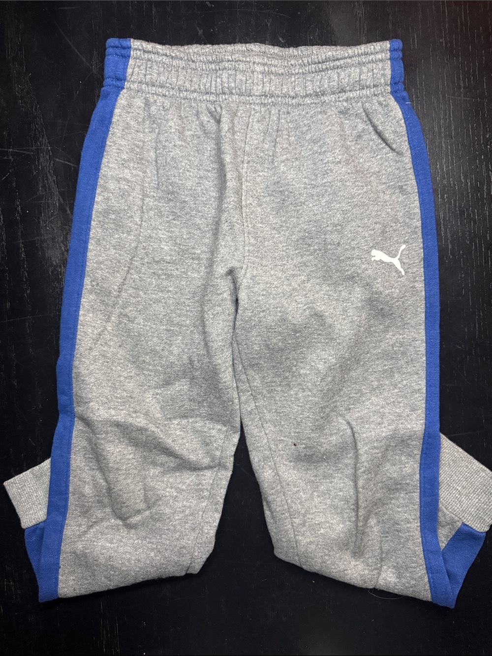 Puma Gray Joggers with Blue Side Panels